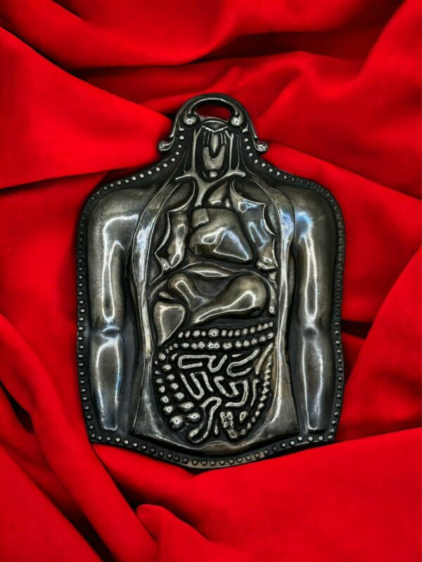 Ex voto organi interni 14x10 cm