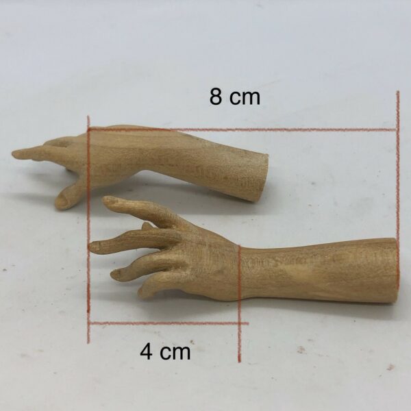 coppia mani donna palmo dita 4 cm