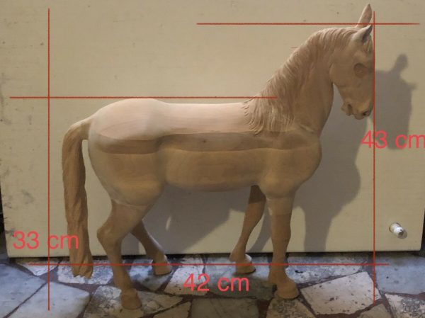 Cavallo fermo - immagine 7