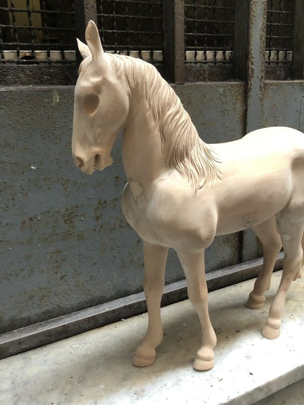 Cavallo fermo - immagine 6