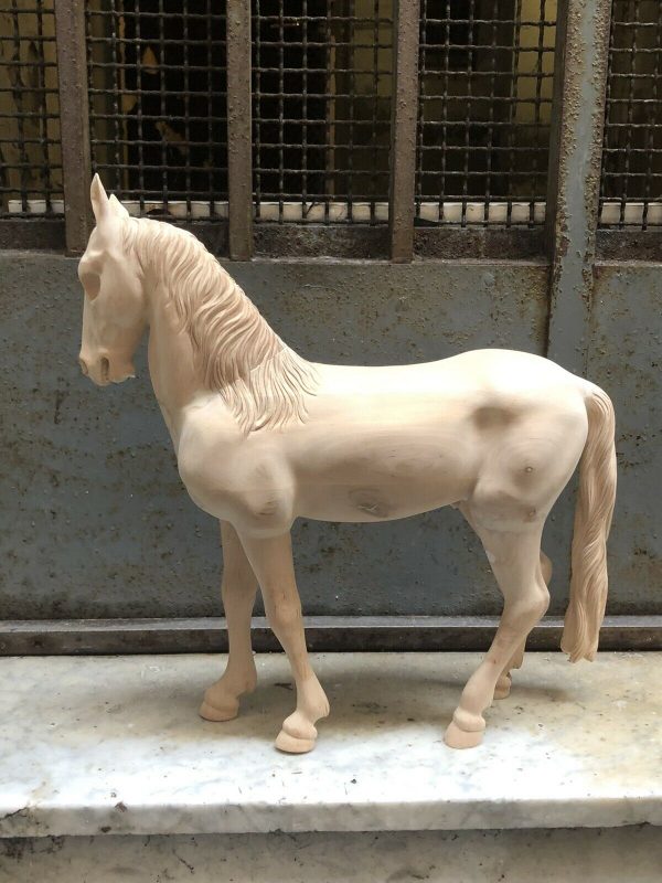 Cavallo fermo - immagine 5