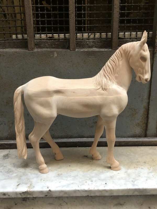 Cavallo fermo - immagine 2
