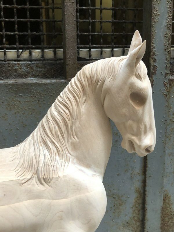 Cavallo fermo - immagine 4