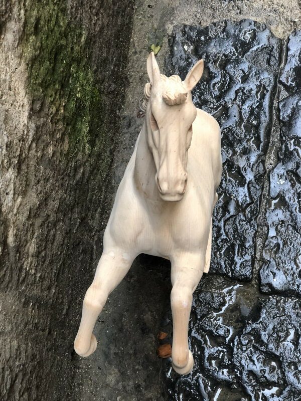 cavallo rampante - immagine 2